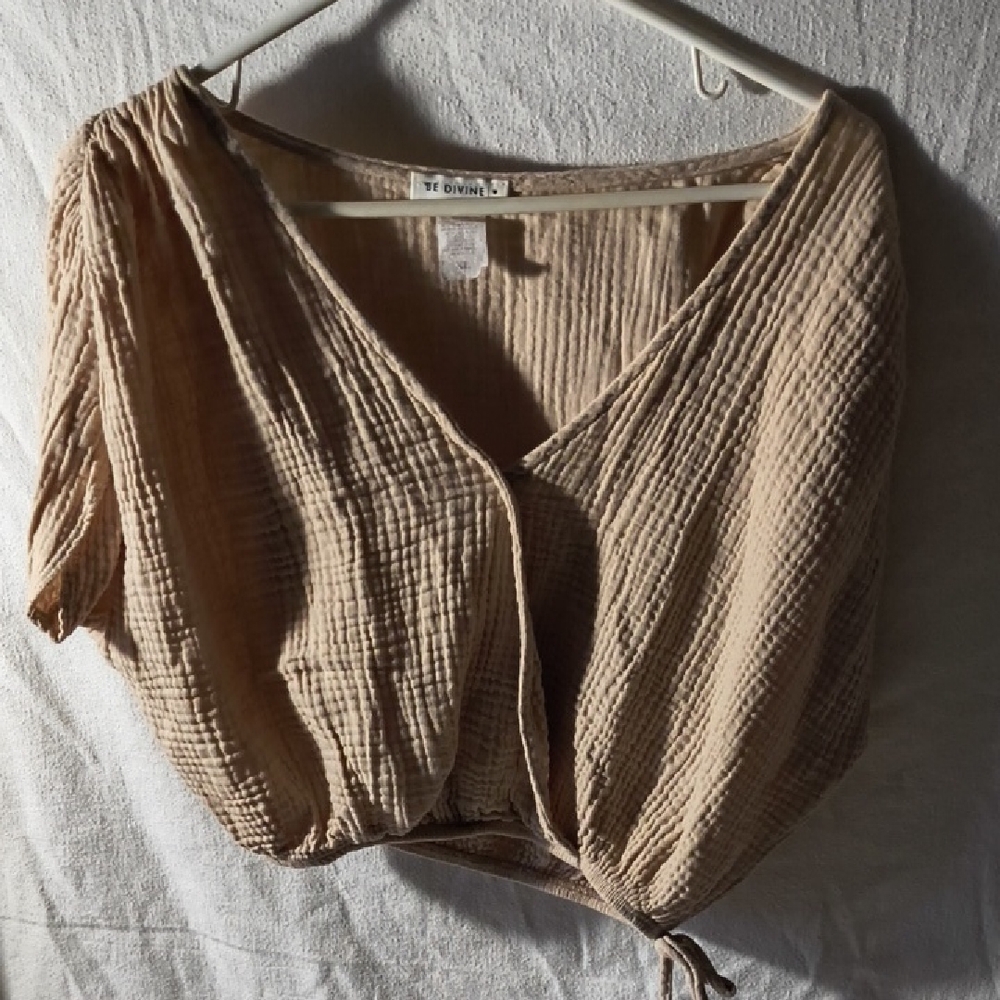 Elegant Beige Crop Top